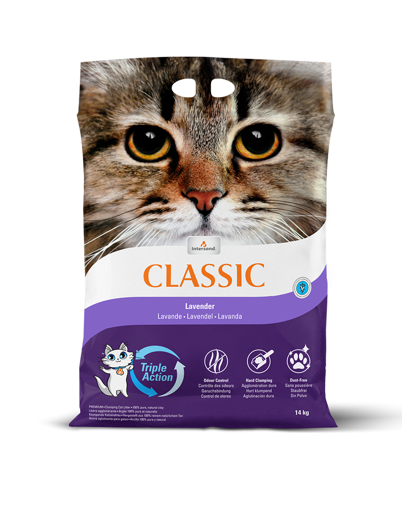 Classic Lavender Classic Lavender
