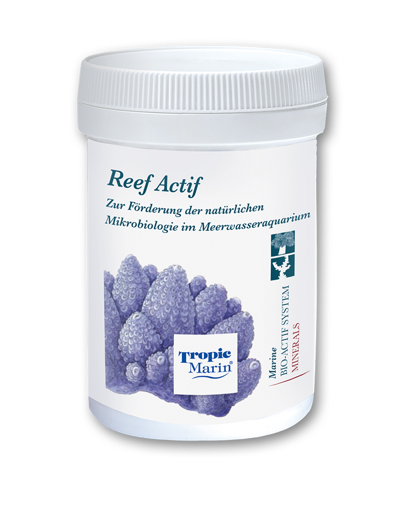 Reef_Actif Reef Actif