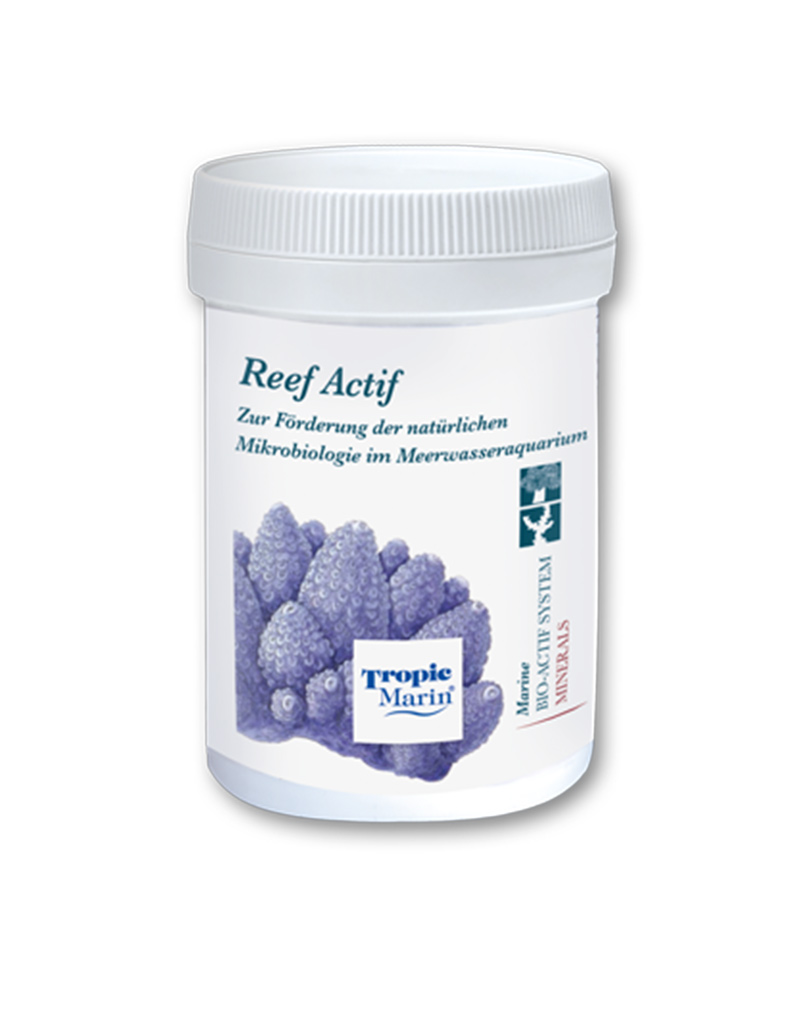 Reef_Actif_2 Reef Actif
