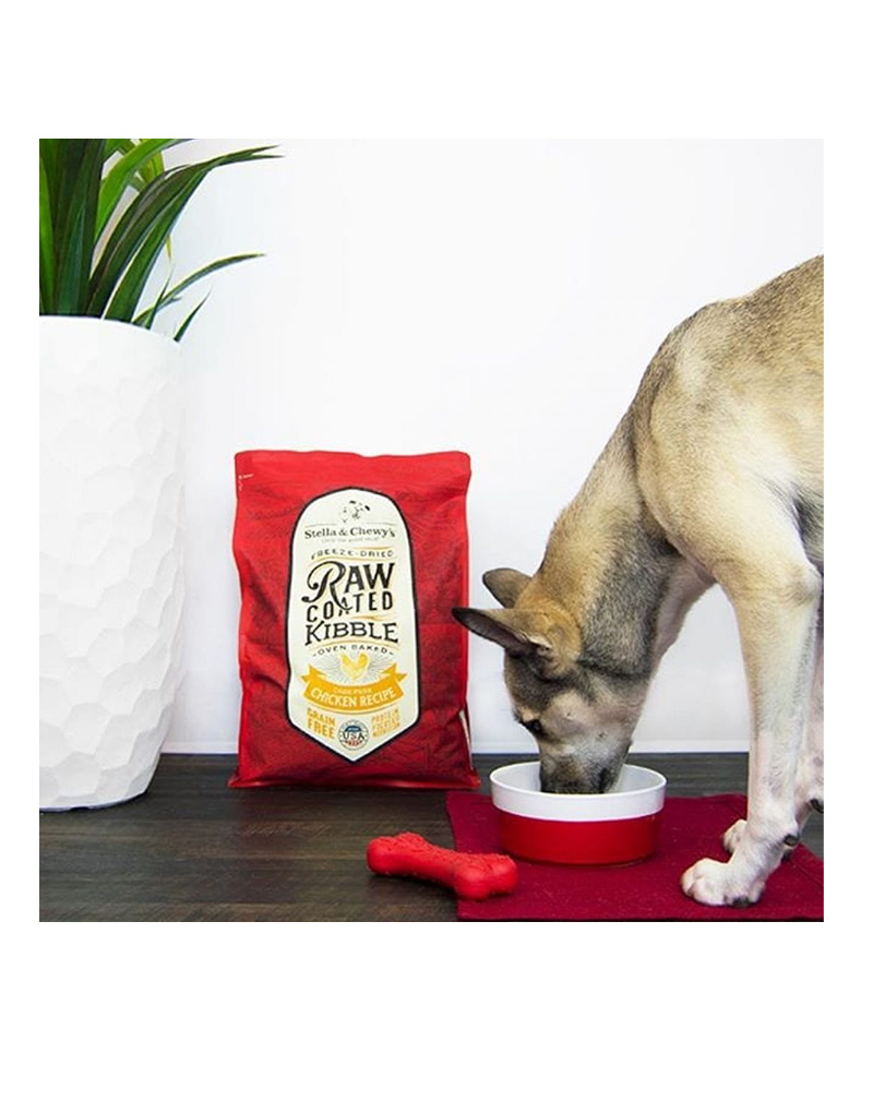Cage-free Chicken Raw Coated Kibble_3 Cage-free Chicken Raw Coated Kibble